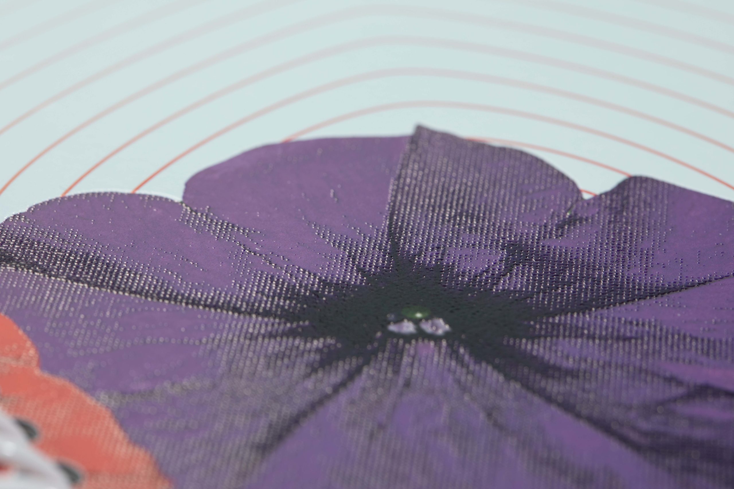 Spiral bound catalog with spot gloss, varnish, raised printing