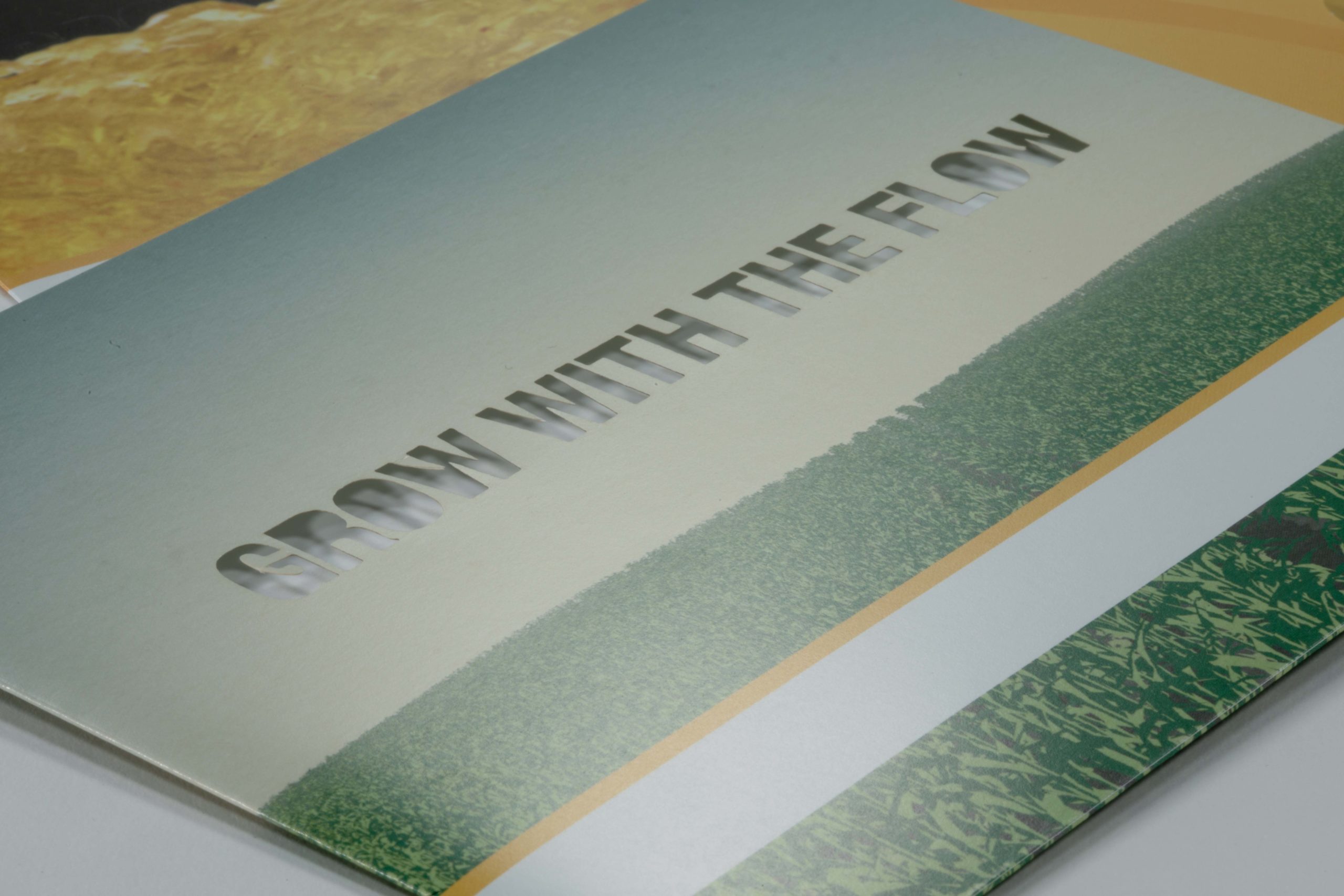 ● Syngenta grow with the flow promotional direct mail
