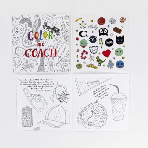 Dimensional direct mail containing color book and stickers